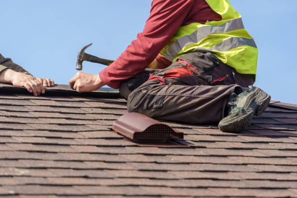 Best Roof Leak Repair  in Hooper, NE