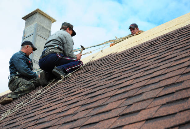 Best Roof Gutter Cleaning  in Hooper, NE
